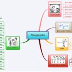 Thiagipedia - Thiagi.fr - Mozilla Firefox
